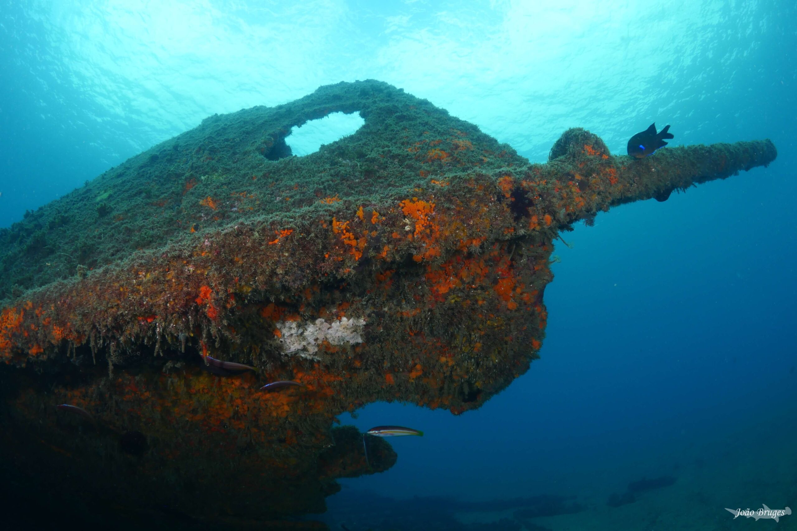 Azores Underwater Cultural Heritage