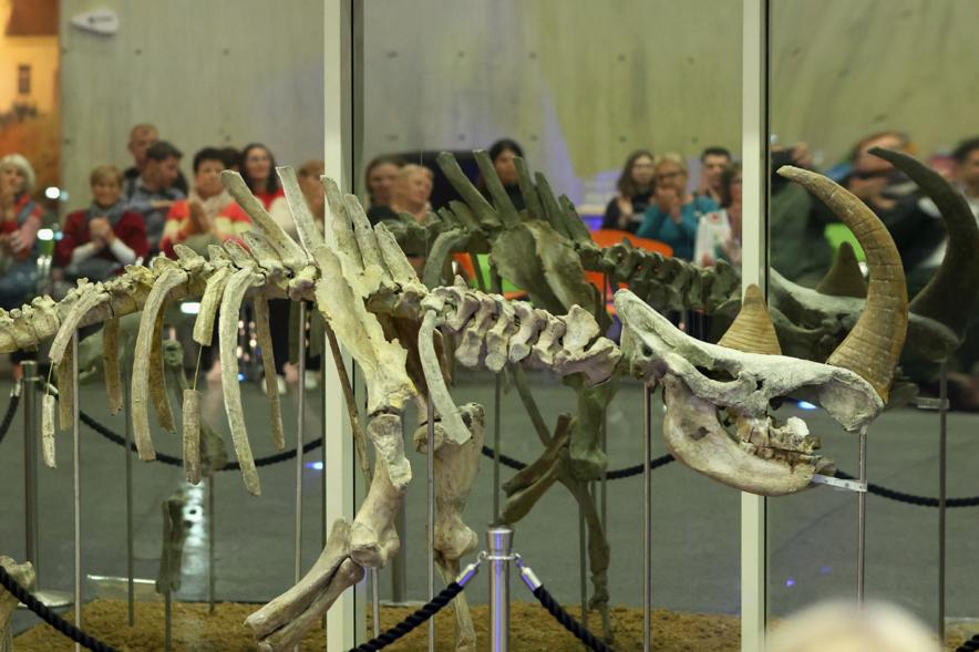 Celebrating Ice Age Europe Week and European Heritage Days at the Krapina Neanderthal Museum